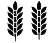 xtarim